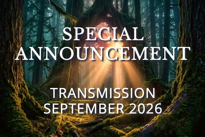 Special Announcement text over ancient forest trees with divine light